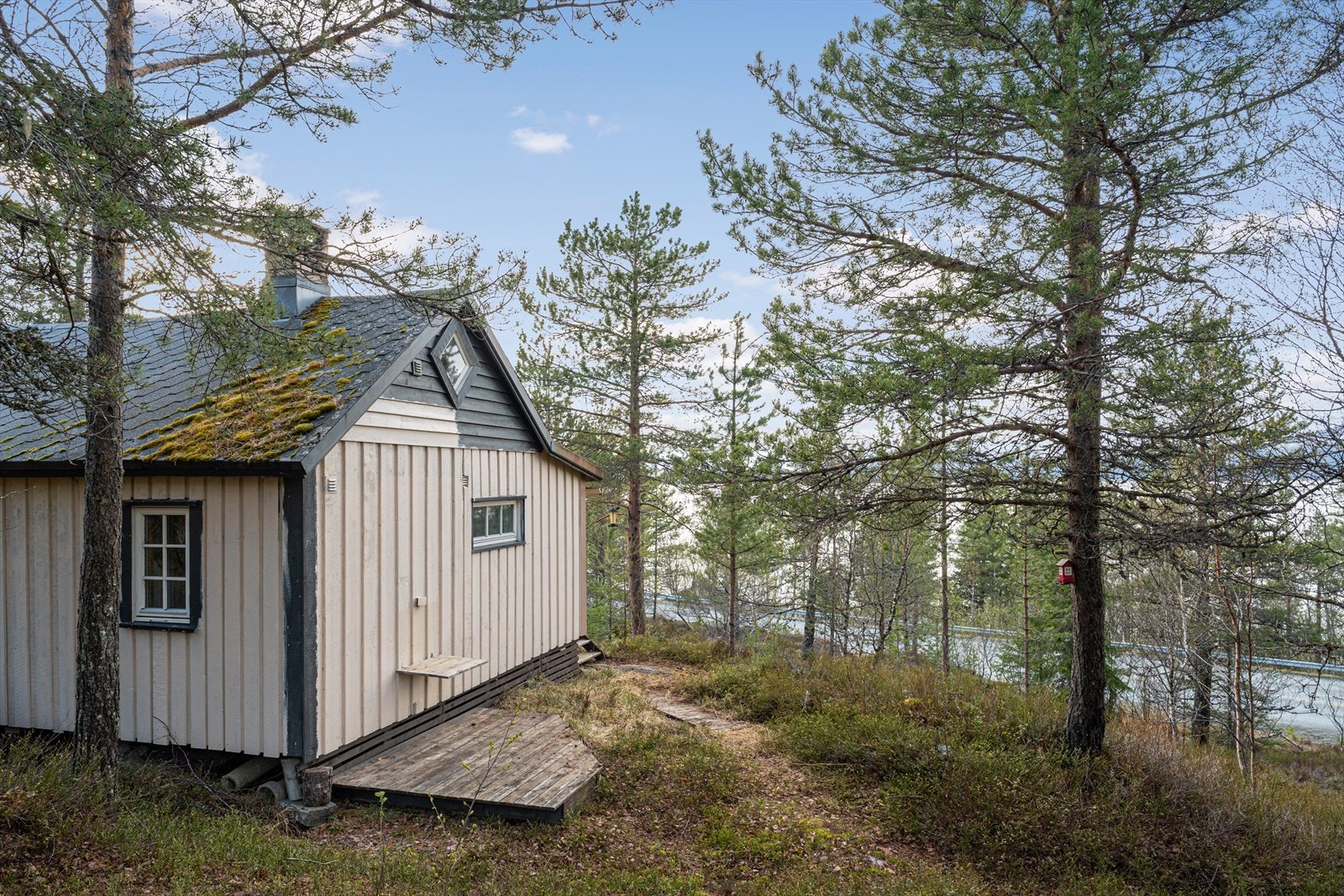 For rette kjøper kan dette bli et koselig sted å tilbringe helger og ferietider. Kort vei med pendleravstand til Finneidfjord, Korgen, Bjerka, Hemnes og Mo i Rana. Galleribilde