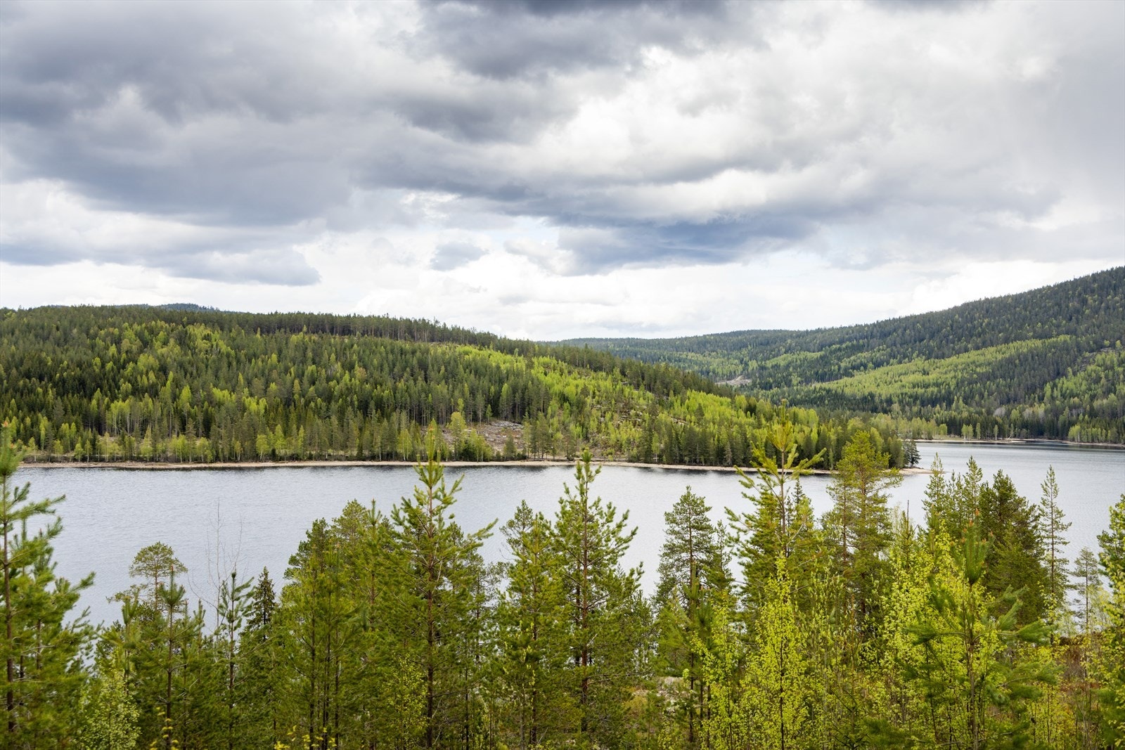 Området byr på flotte tur- og rekreasjonsmuligheter i skog og mark, rett utenfor døren. Galleribilde