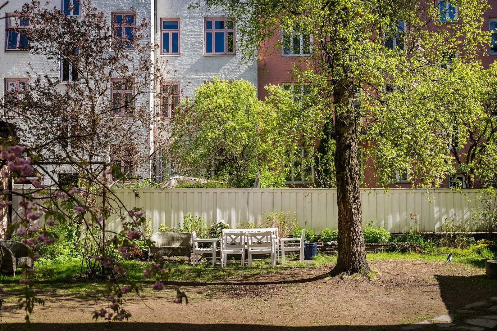 Hyggelig sittegruppe i bakhage Galleribilde