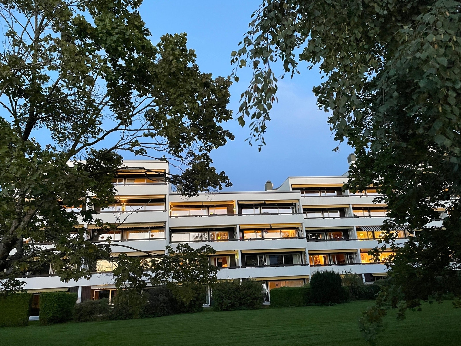 Bilde tatt av selger Galleribilde