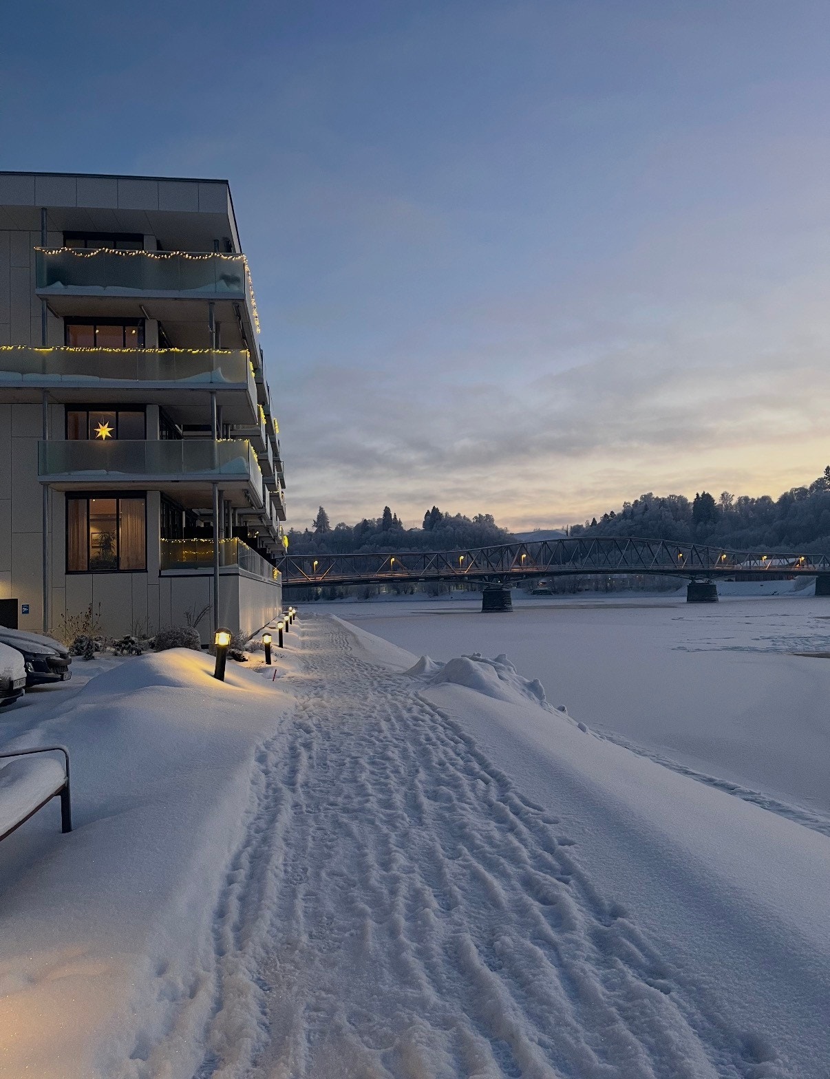 Selgers eget bilde. Galleribilde