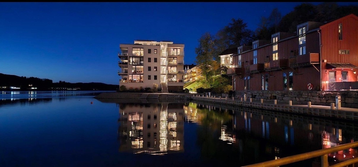 Selgers eget bilde. Galleribilde