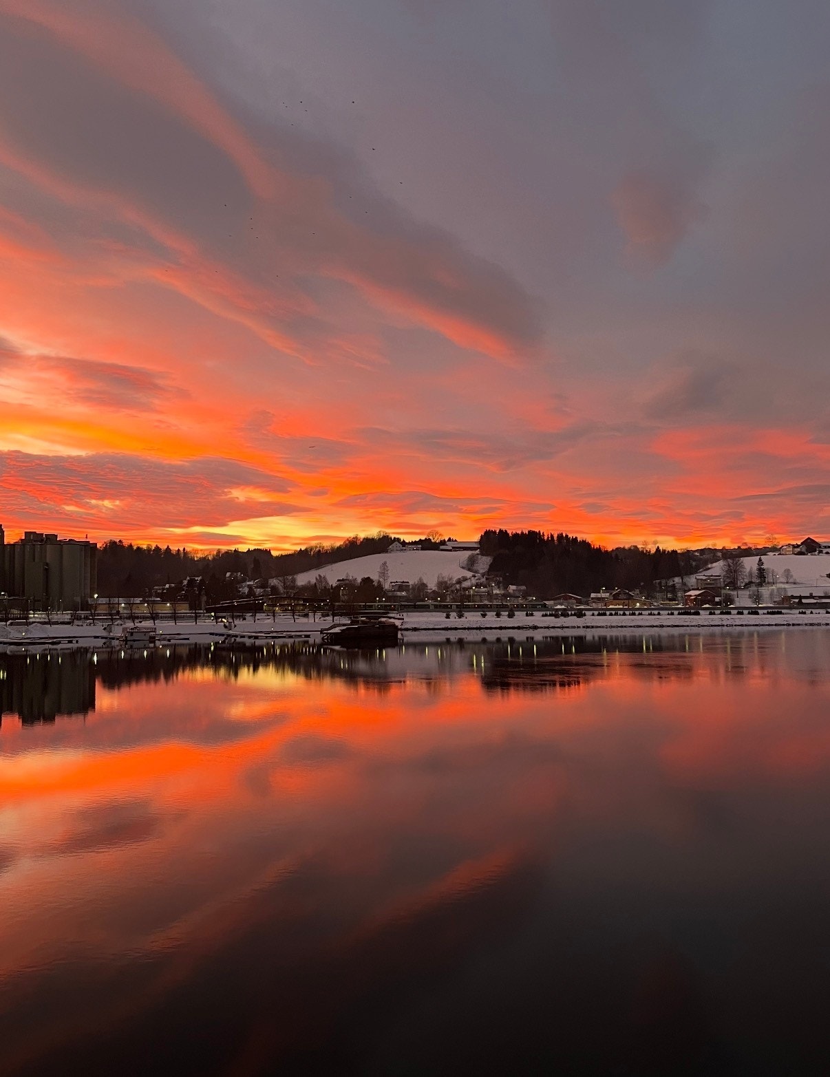 Selgers eget bilde. Galleribilde