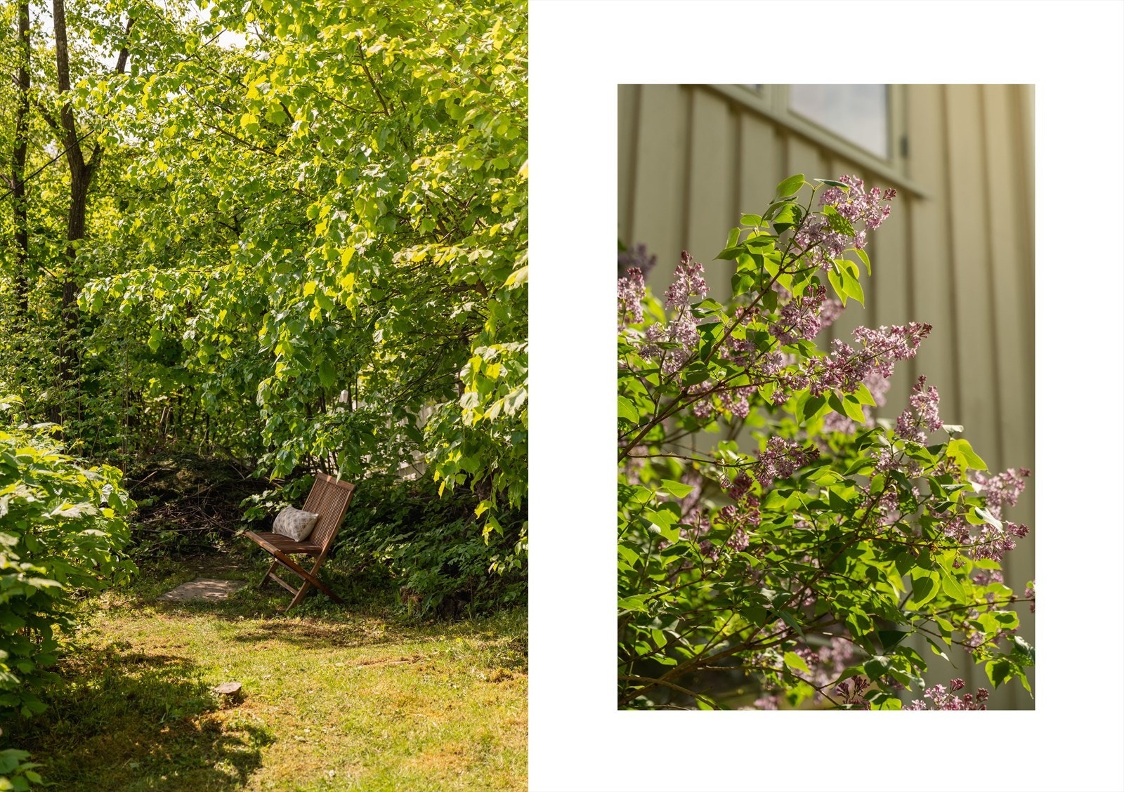 Hyggelig utsiktpunkt og vakre planter. Galleribilde