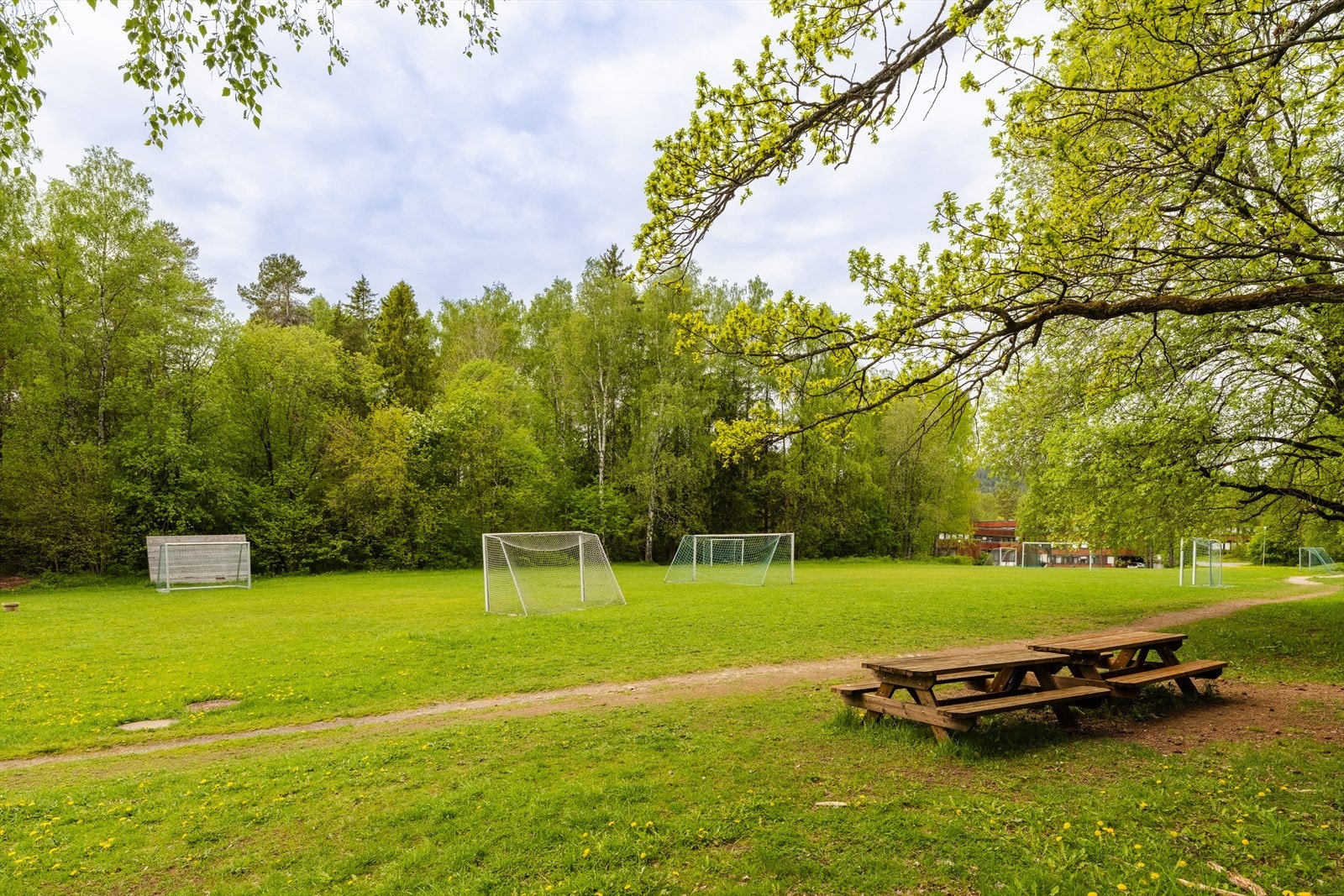 Stort uteområde med fotballbaner like bak bygget. Galleribilde