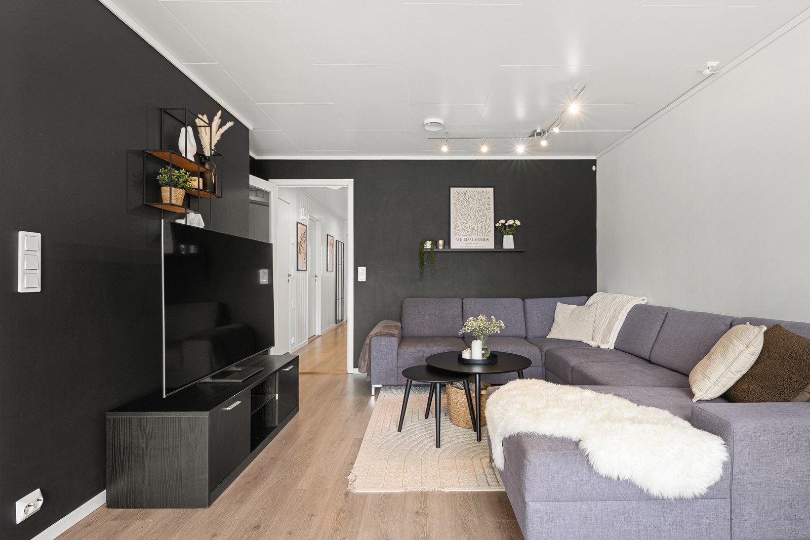 Kontrastvegger med opplegg for TV. Galleribilde