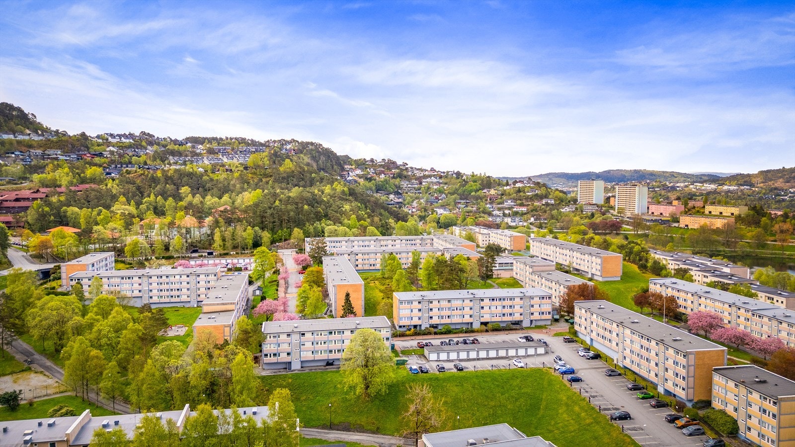 Lyshovden borettslaget ligger i umiddelbar nærhet til Lyshovden Oppveksttun og Ortun ungdomsskole. I tillegg har vi Sælen Oppveksttun og Fyllingsdalen videregående skole i gangavstand fra borettslaget Galleribilde