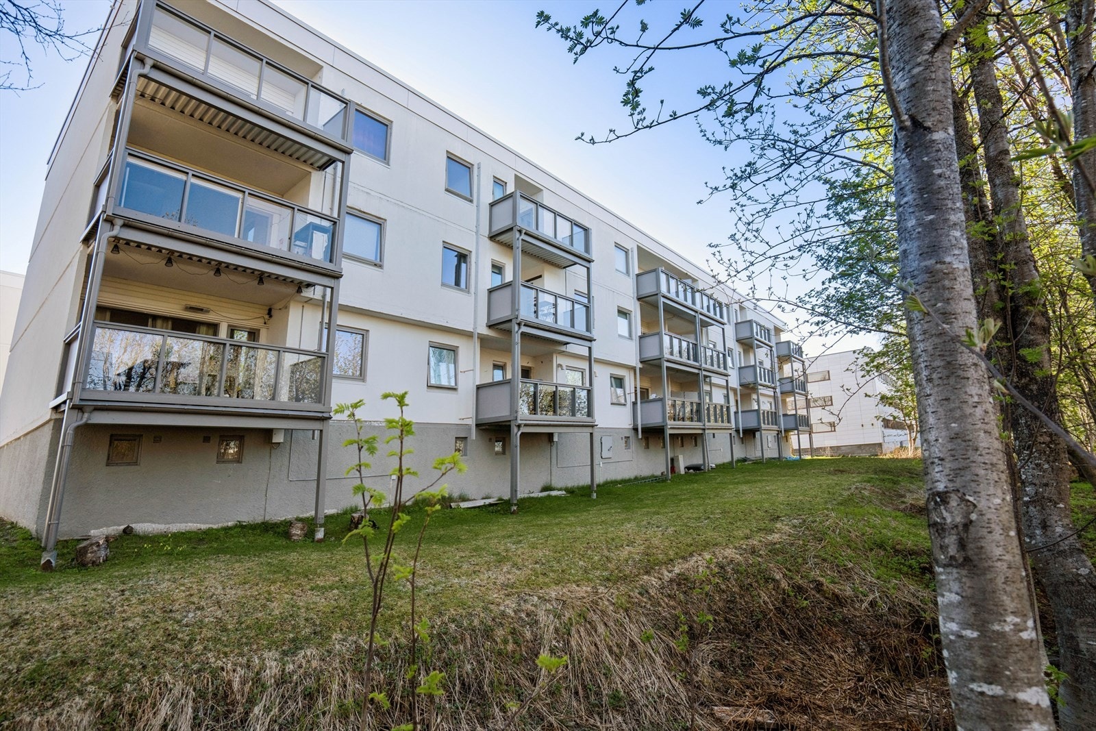 Velkommen til visning! Galleribilde