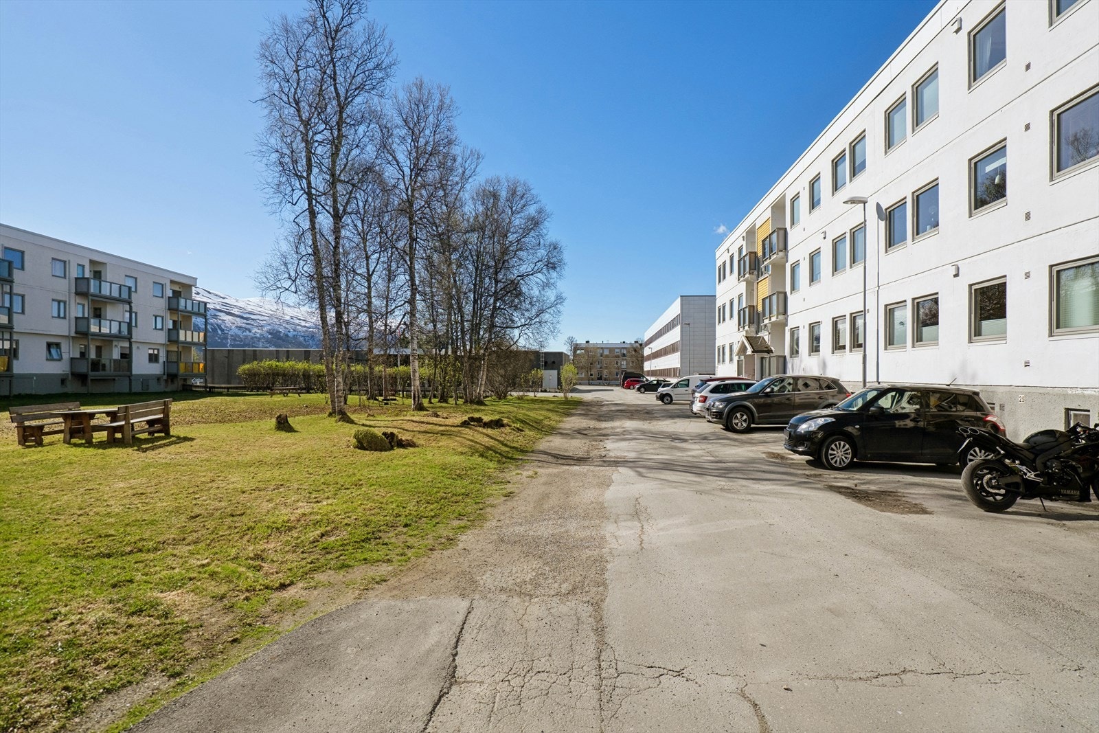 Elverøy kombinerer det beste fra bynært og naturnært - med en praktisk hverdag og rekreasjon rett utenfor døra. Galleribilde