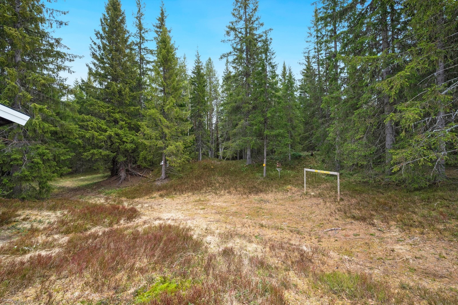 Det er rikelig med boltreplass for både liten og stor på den store tomten, og du finner både multe, blåbær og tyttebær i området rundt hytta. Galleribilde