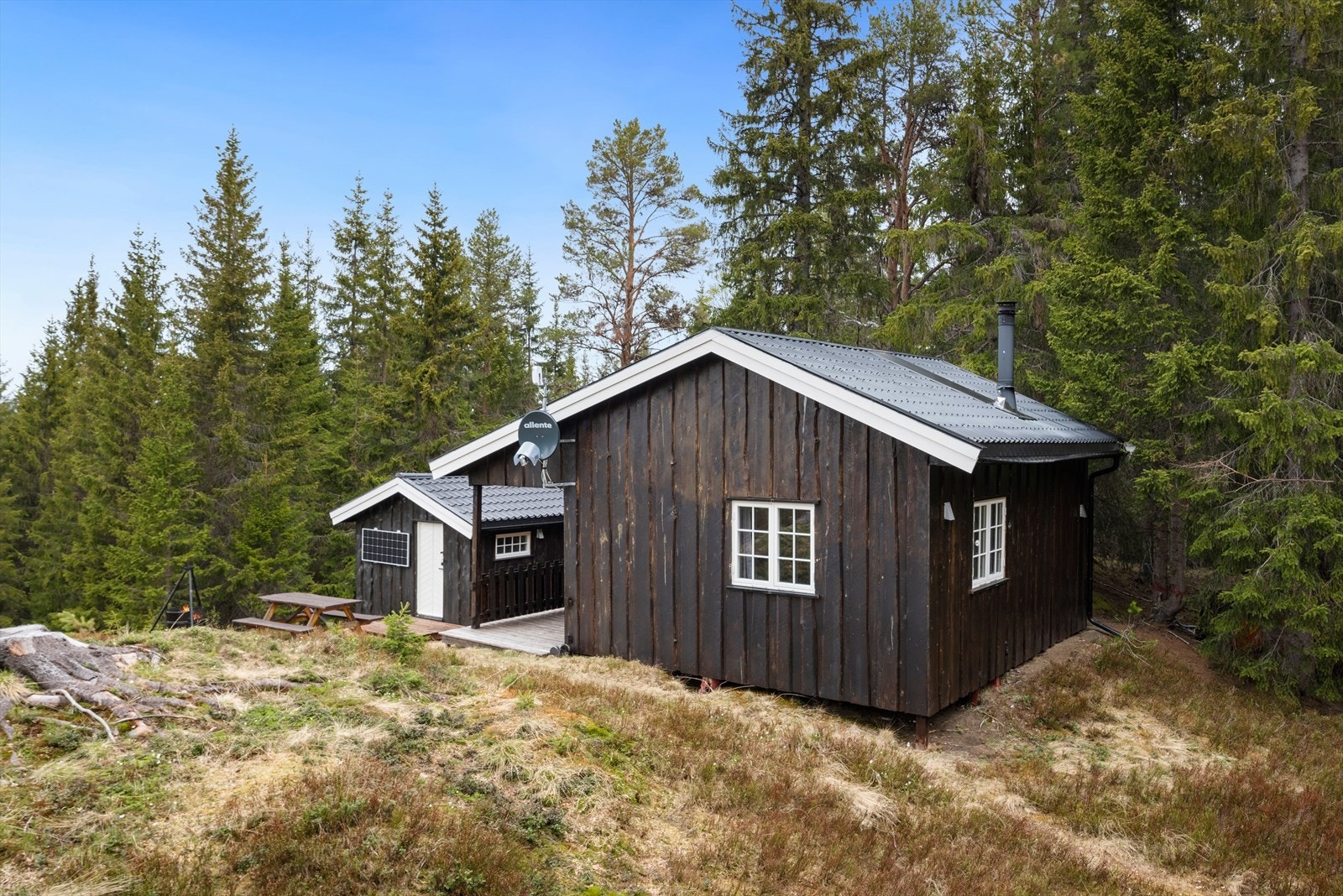 Velkommen til en trivelig visning! Galleribilde