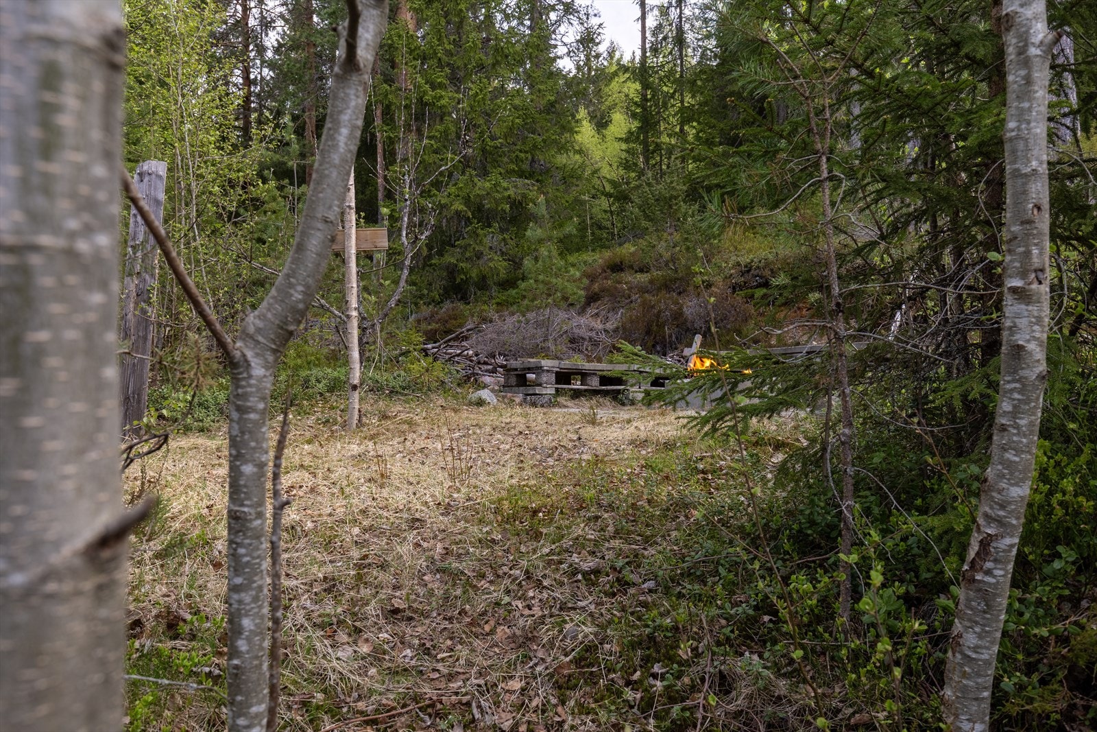 Etablerte friluftsplasser på tomten gir gode muligheter for utendørs opphold. Galleribilde