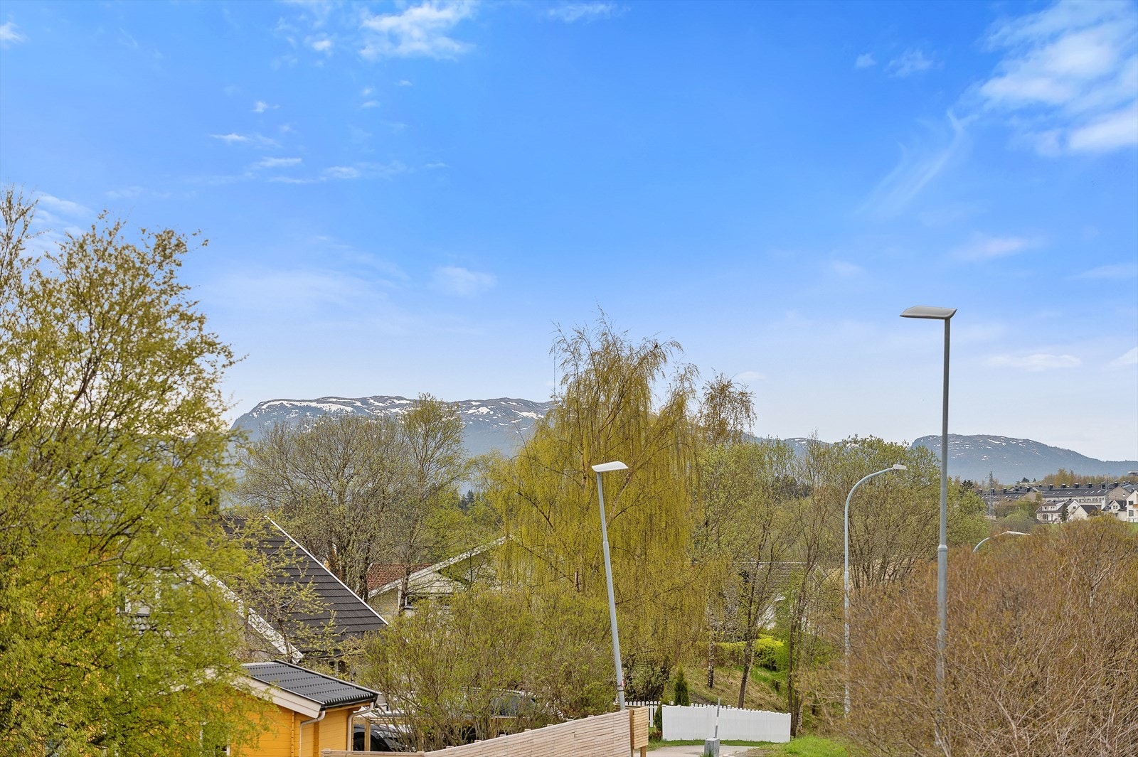 Flott utsikt mot blant annet Vassfjellet Galleribilde