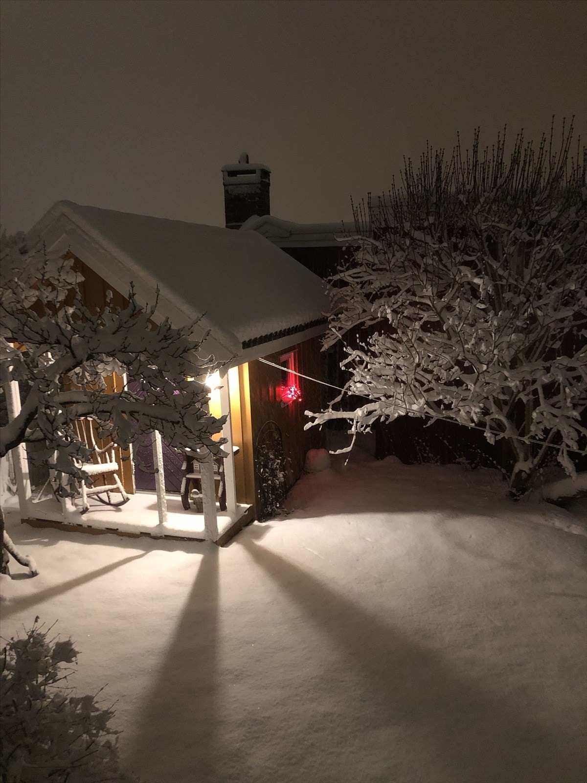 Selgers stemningsbilde fra vinter Galleribilde