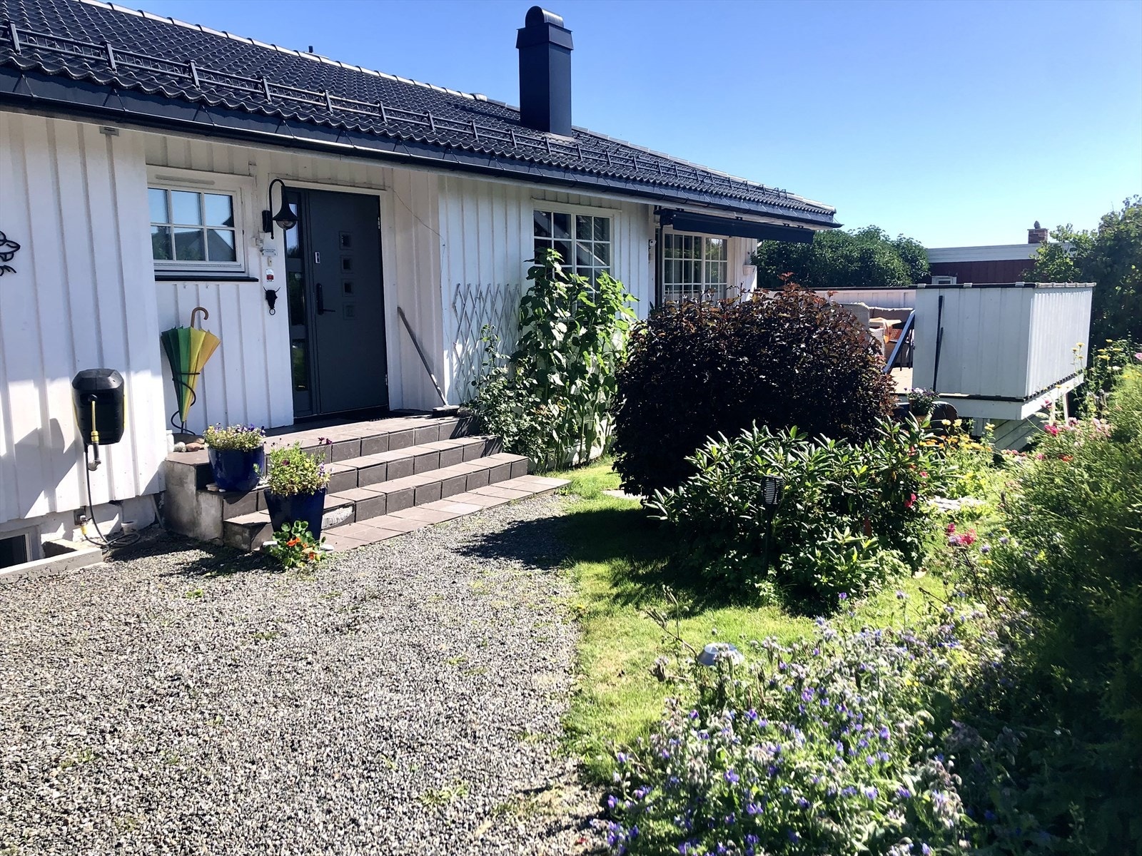 Selgers stemningsbilde fra sommer. Galleribilde