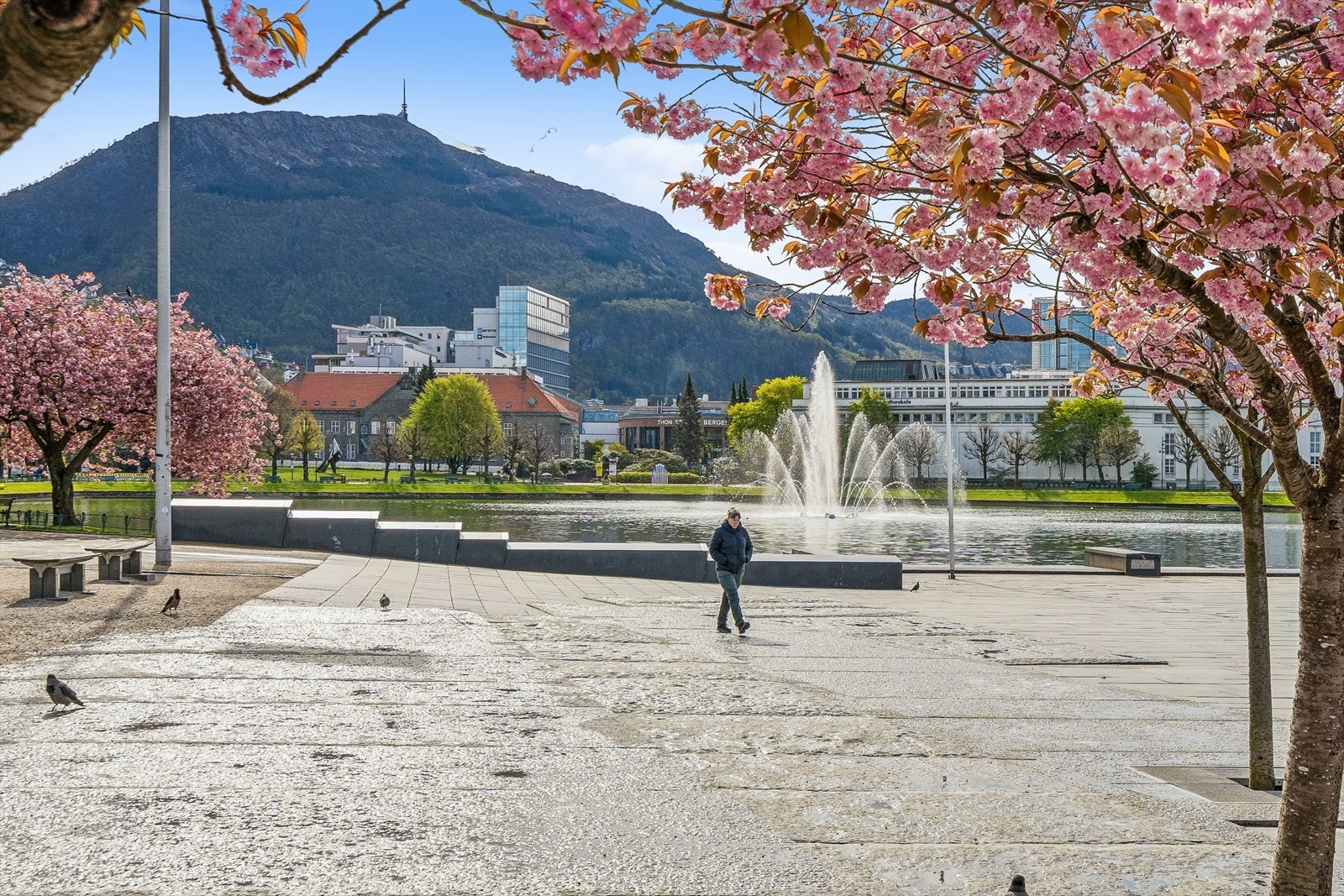 En kort spasertur på fem minutter tar deg til rekreasjonsområdene ved Byparken og Lille Lungegårdsvann. Galleribilde