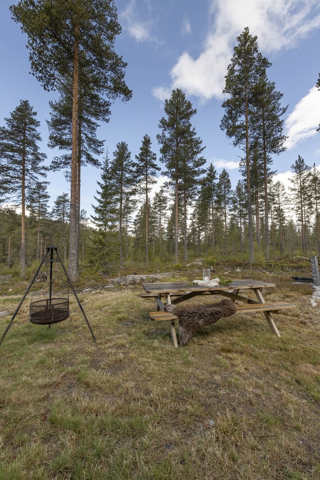 Fine uteomgivelser. Galleribilde