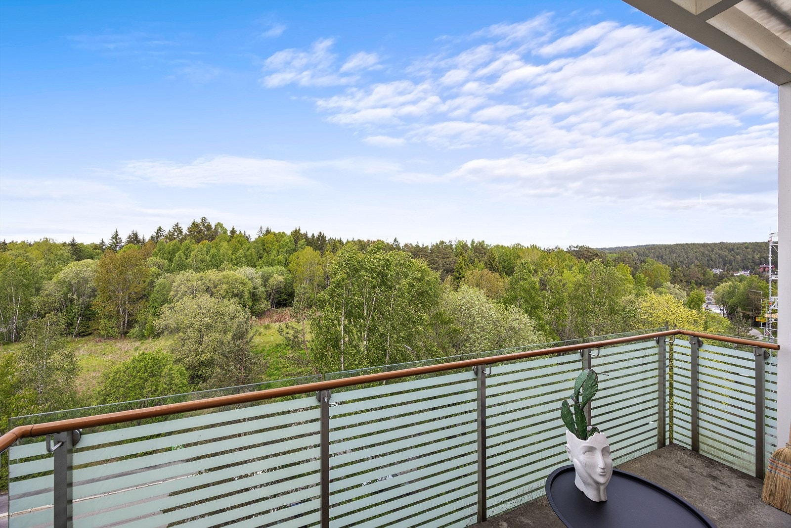 Utsikt over nærområdets skog og mark, med Østmarka som nærmeste nabo. Galleribilde