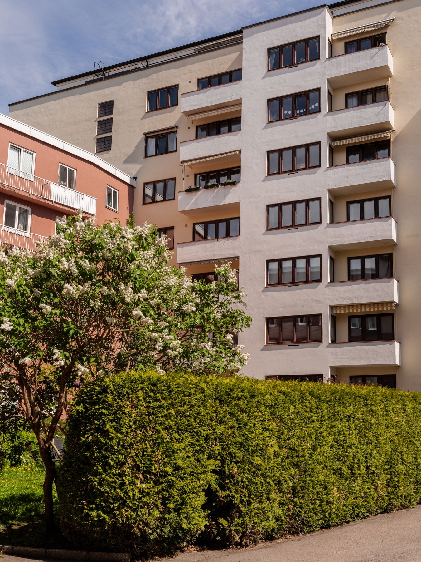 Pent opparbeidet og hyggelig bakgård Galleribilde
