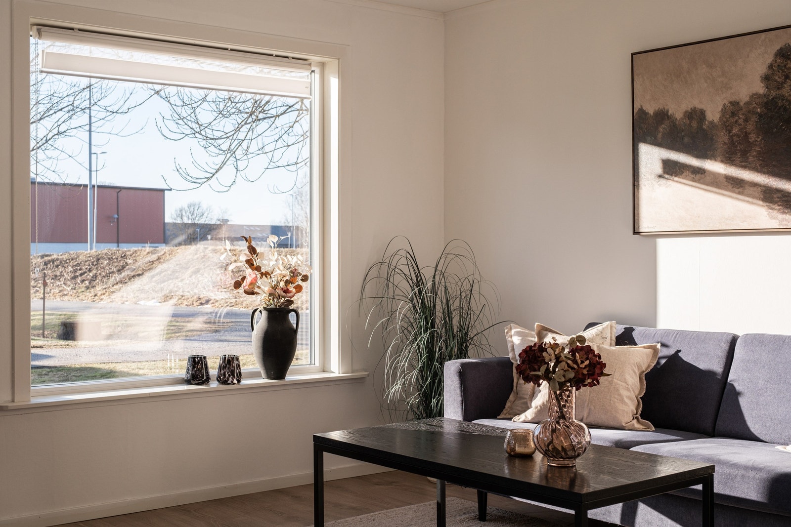 Godt lysinnslipp fra vindu med utsyn mot nærområdet. Galleribilde