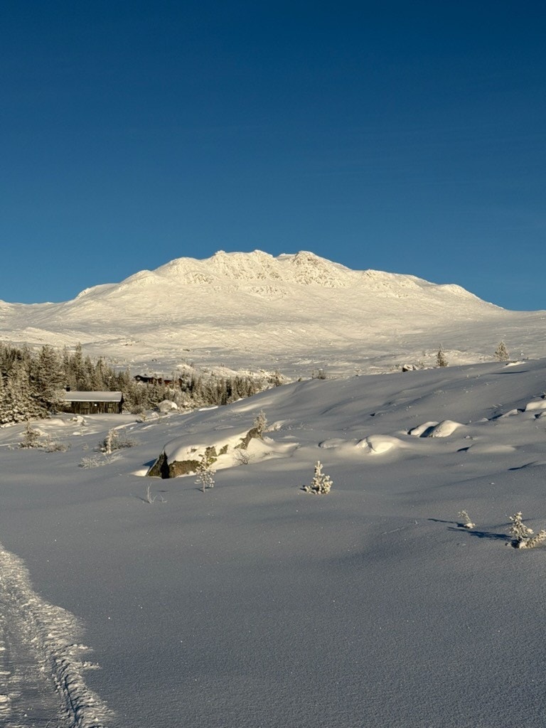 Ranten 1419 m.o.h, ypperlig turmål sommer som vinter Galleribilde
