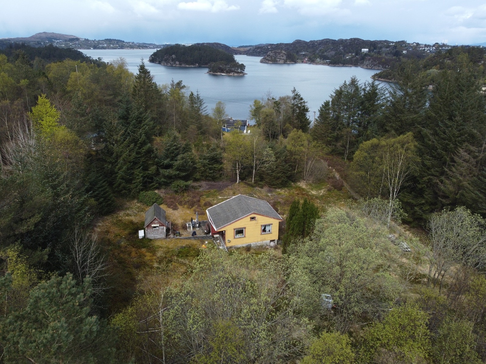 Galleribilde