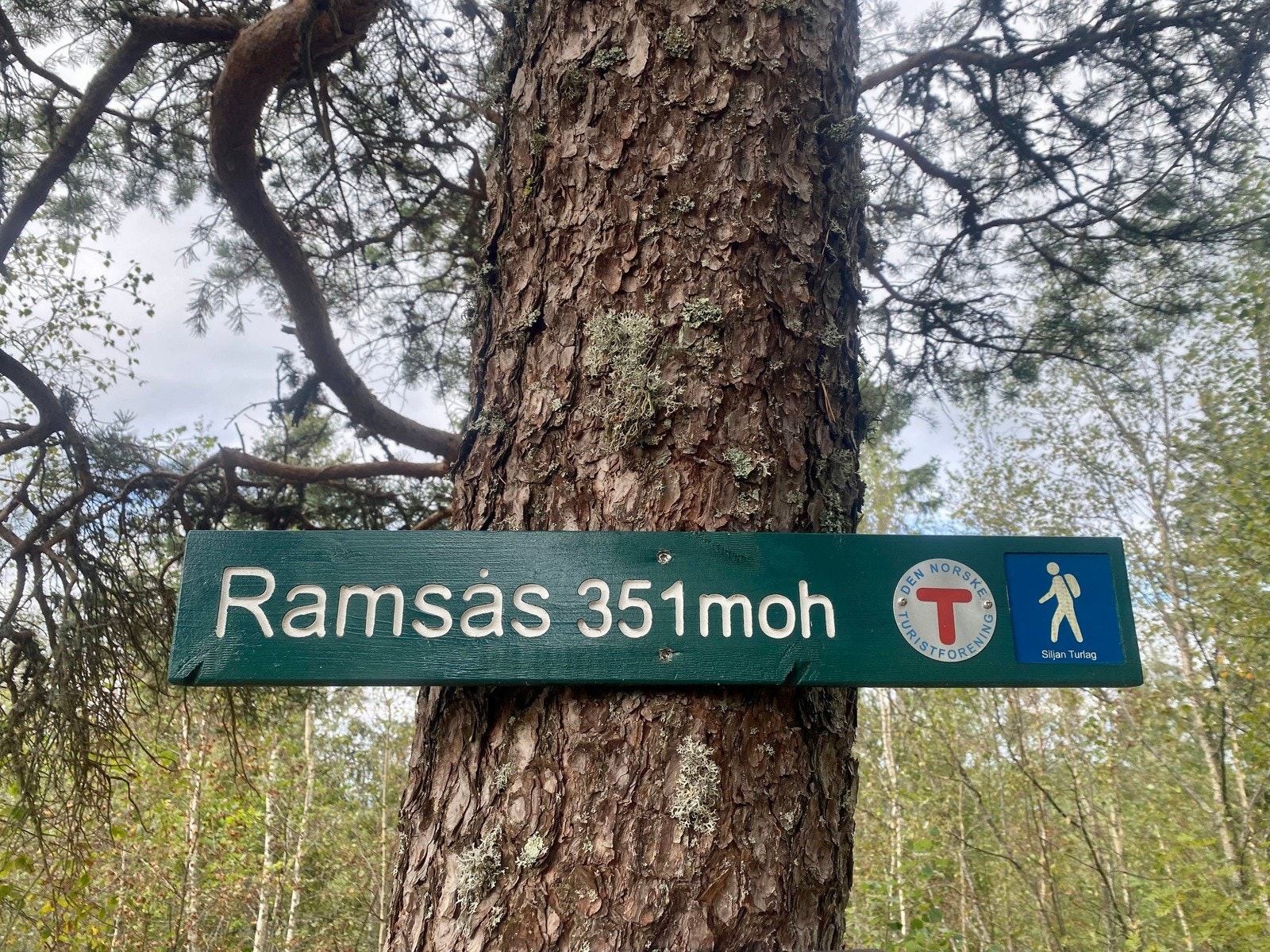Nærmiljø: Ramsås Galleribilde