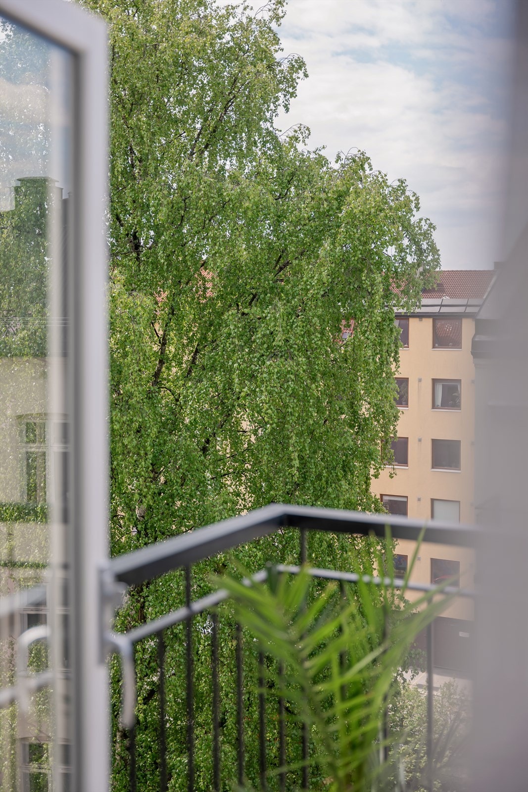 Utsikt fra balkongen mot den grønne og skjermede bakgården. Galleribilde