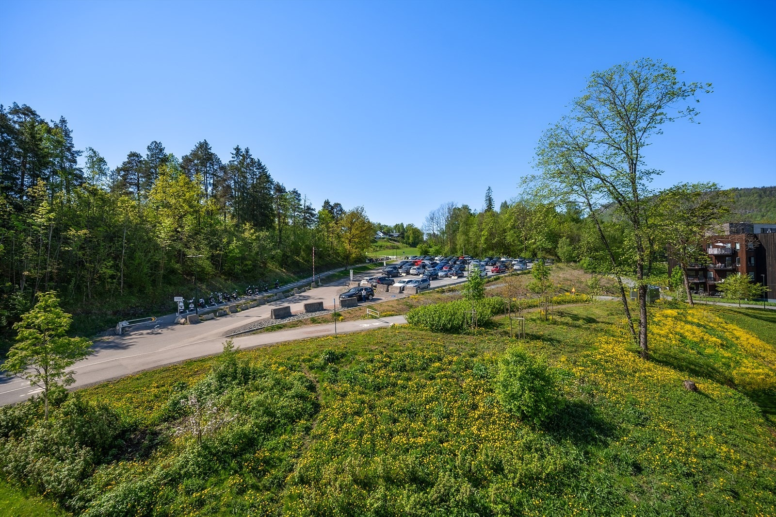 Området tilbyr grønne omgivelser med nærhet til naturen. Galleribilde