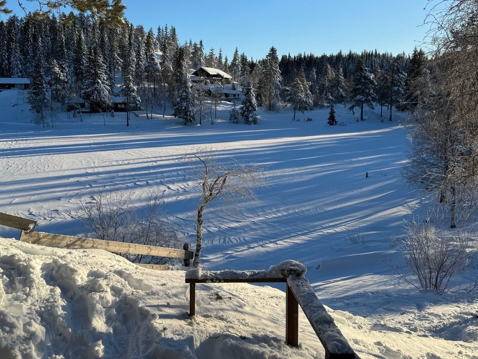 Utsikt fra veranda Galleribilde