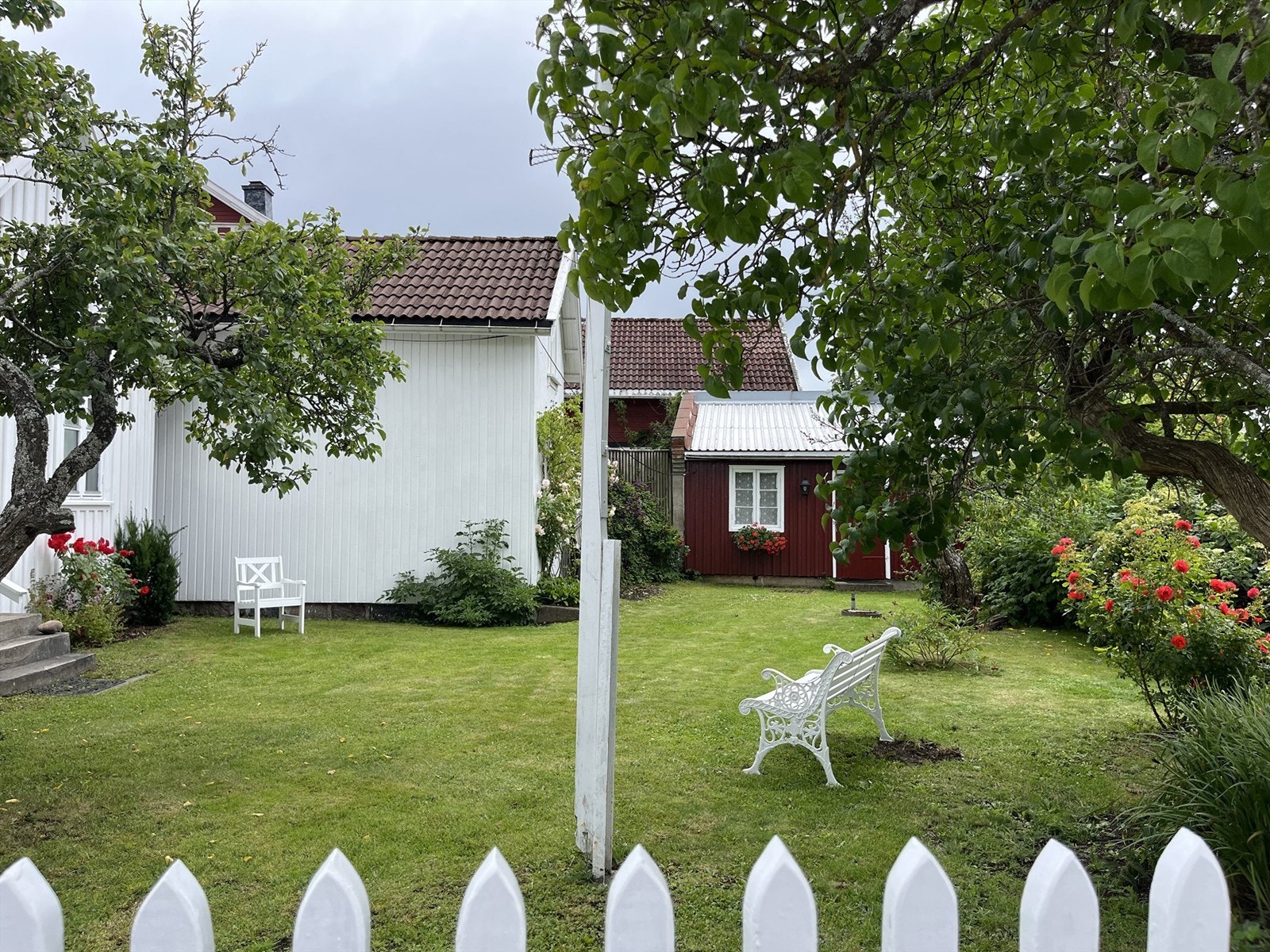 Fra hagen. Privat bilde. Galleribilde