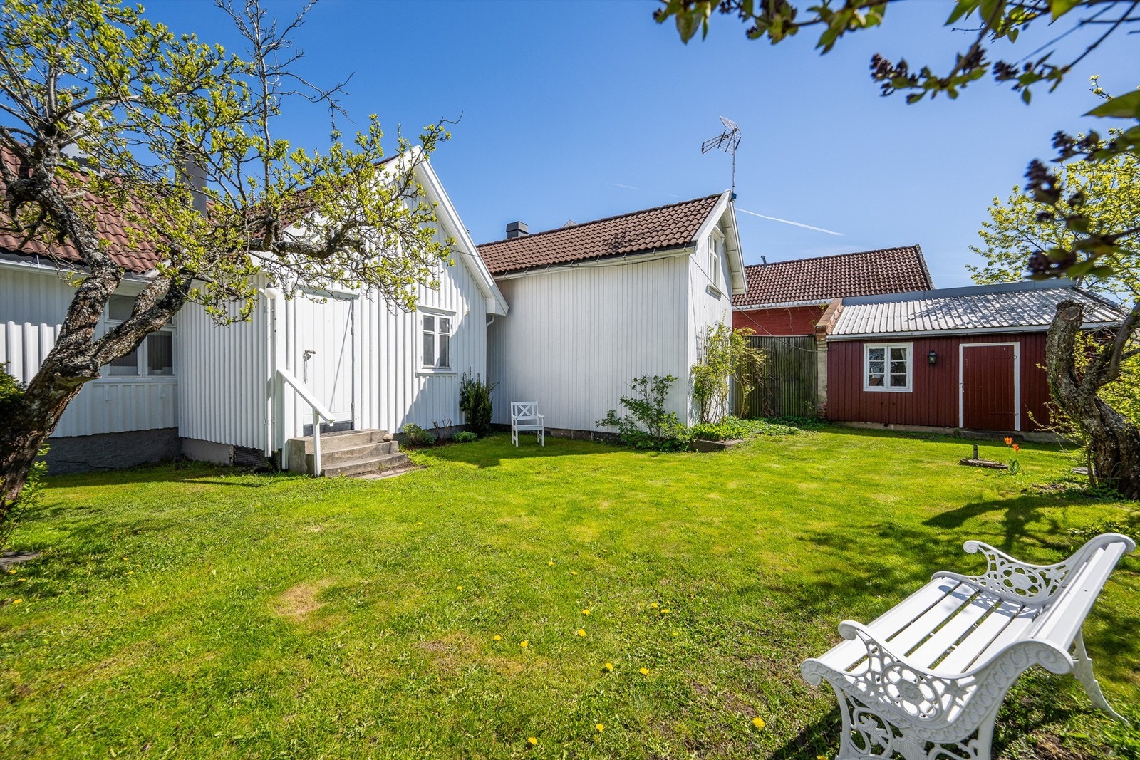 En idyllisk hage med eldre frukttrær. Galleribilde