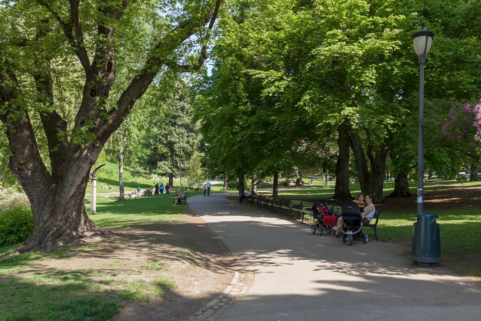 Kort vei fra boligen ligger populære St. Hanshaugen park - et av Oslos mest attraktive grøntområder. Parken byr på store grøntarealer, hyggelige gangstier, dam, lekeplasser og flotte oppholdsarealer året rundt. Galleribilde