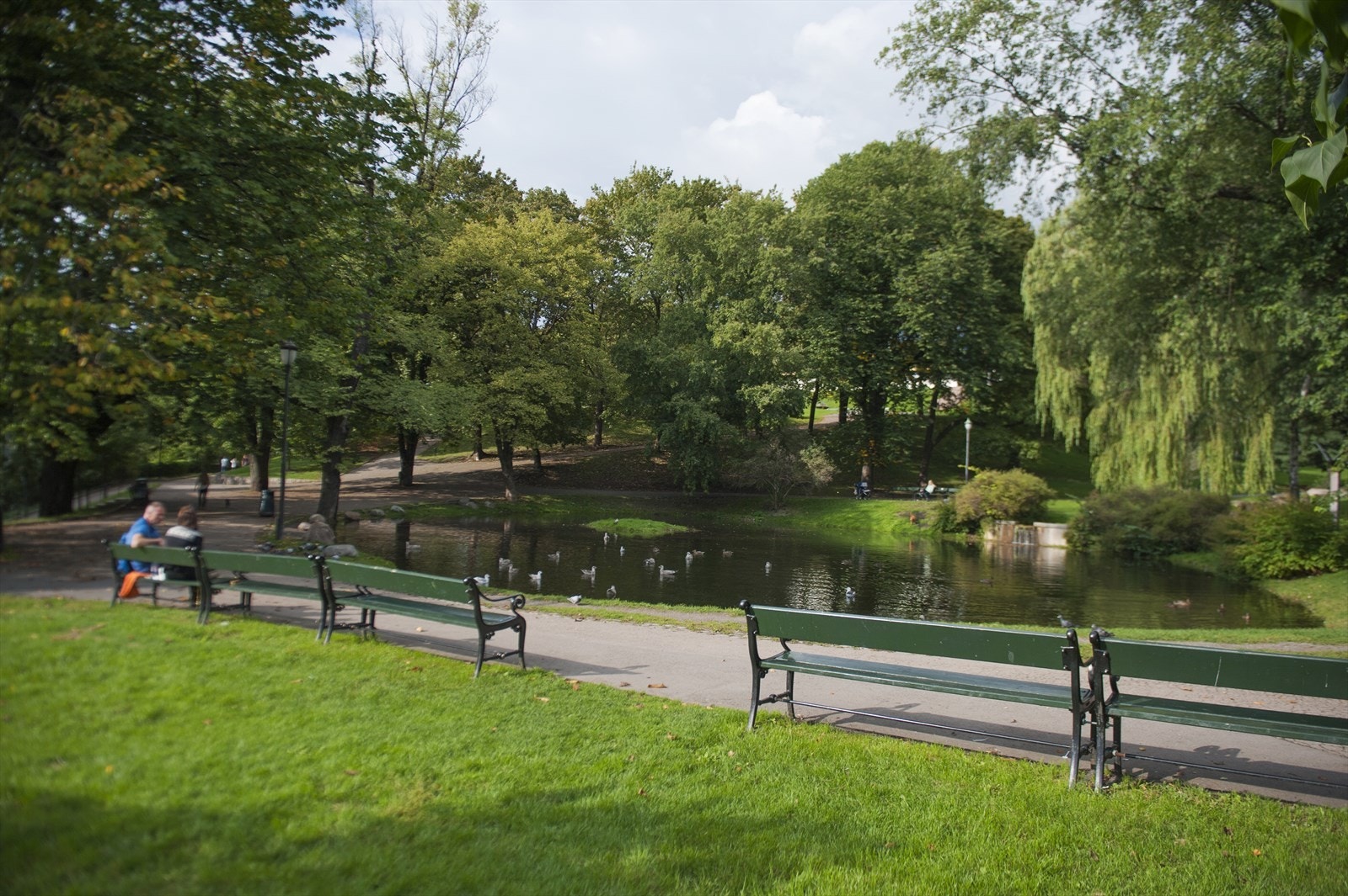 Her kan du nyte rolige spaserturer, trening eller piknik i solen. Galleribilde