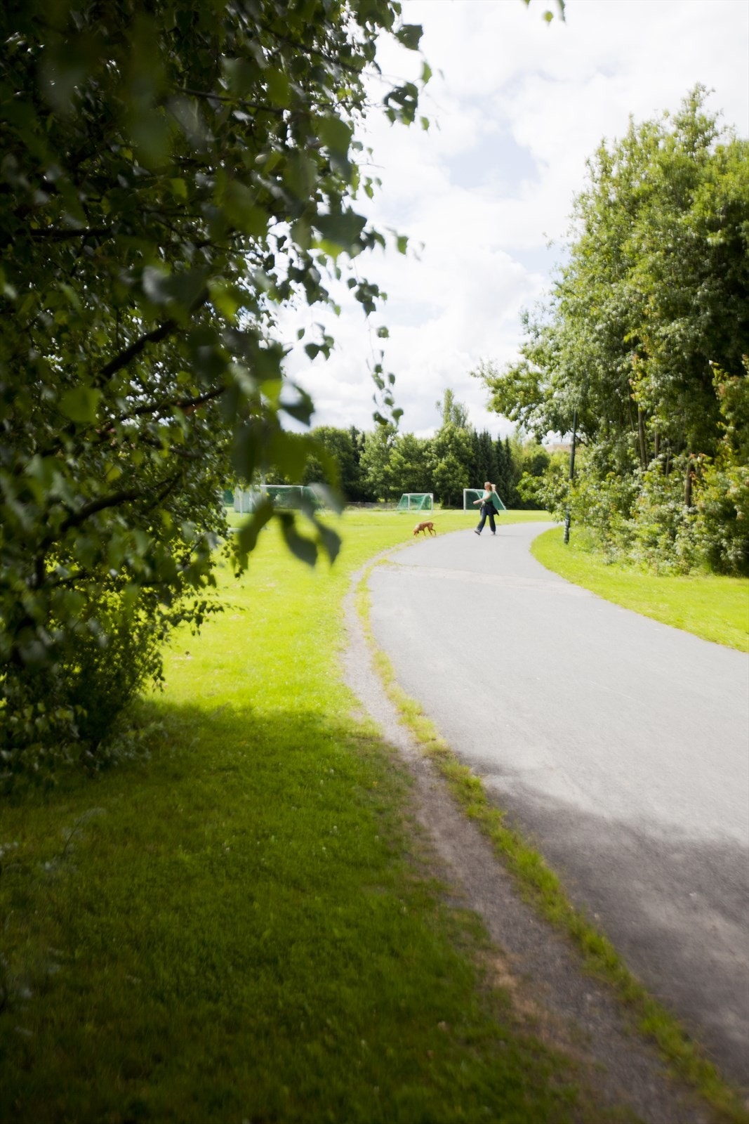 Hovin med fine turstier og fotballpark. Galleribilde