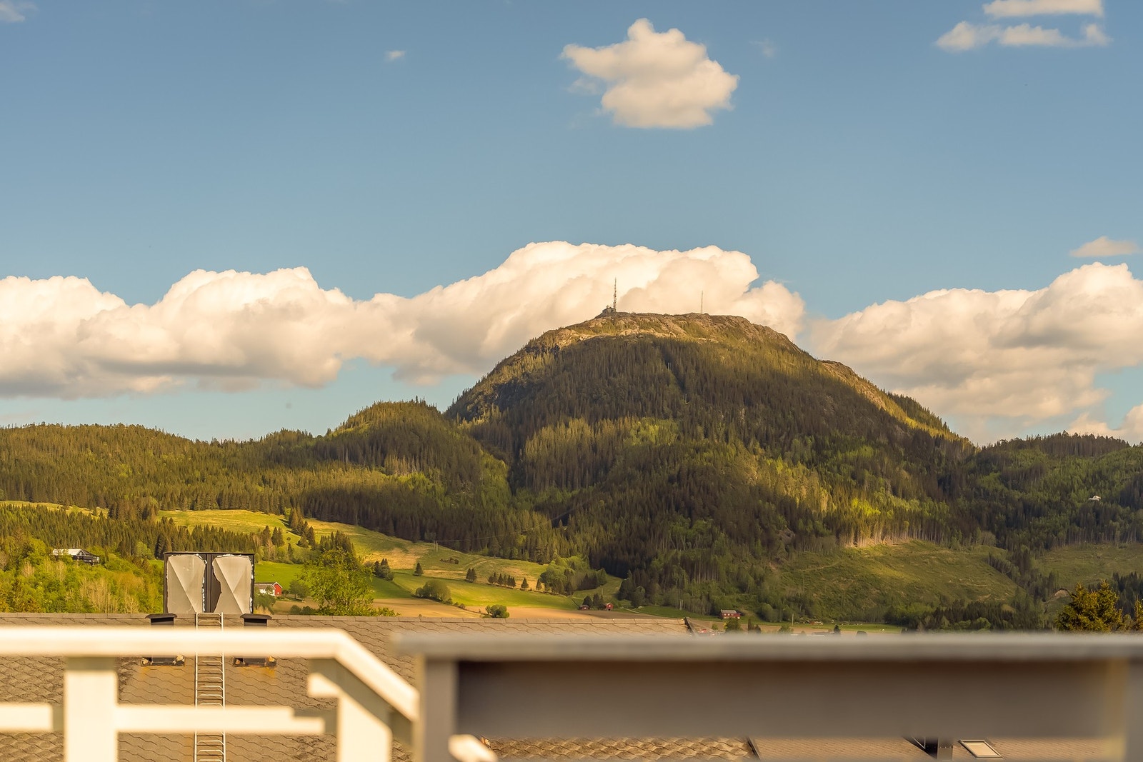 Flott utsikt, med Forbordsfjellet i ene retningen og fjorden andre retningen. Galleribilde