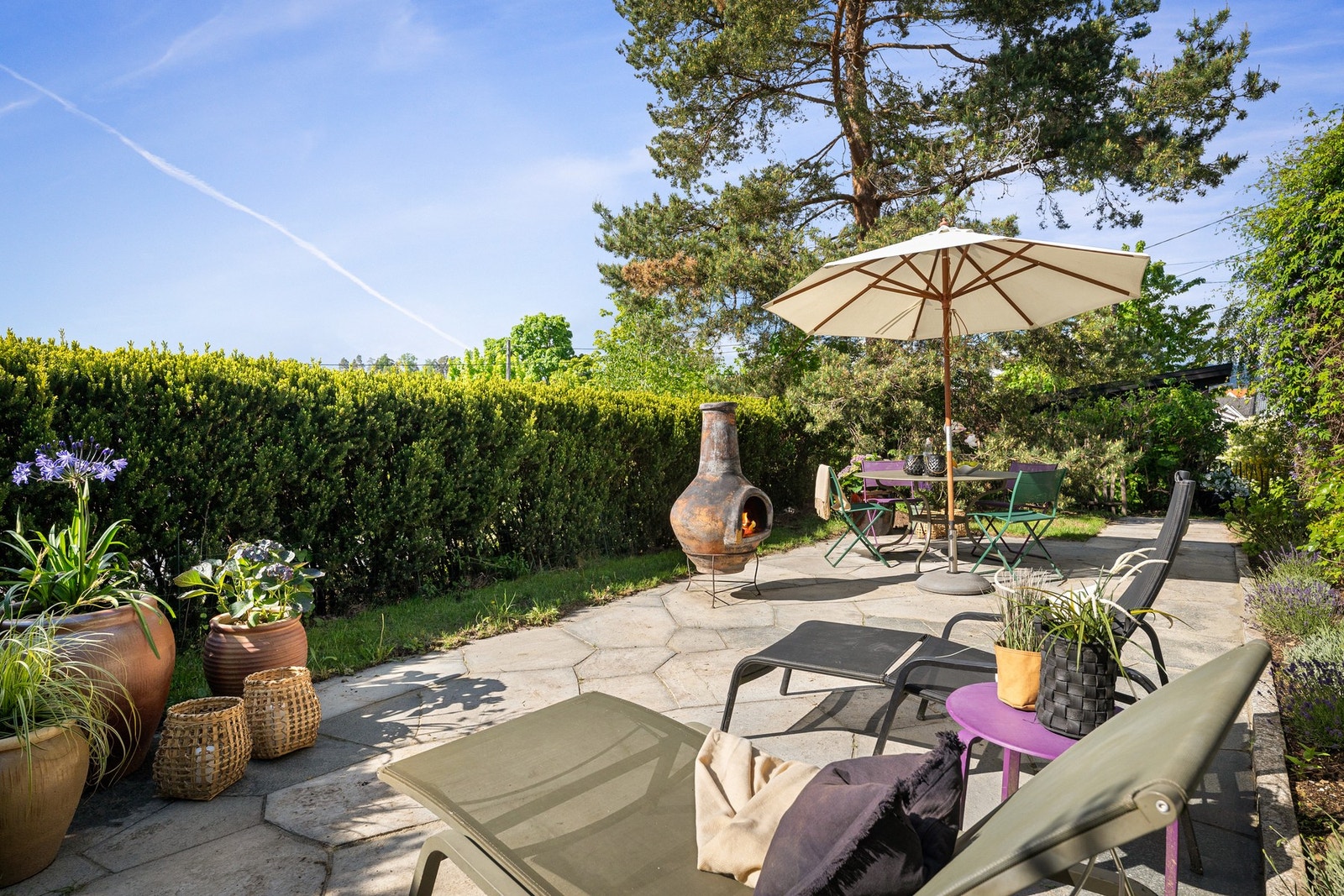 Følelsen av Provence i hagen, gir sjelero Galleribilde