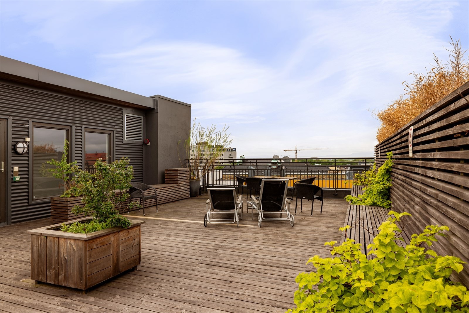 Takterrasse Galleribilde