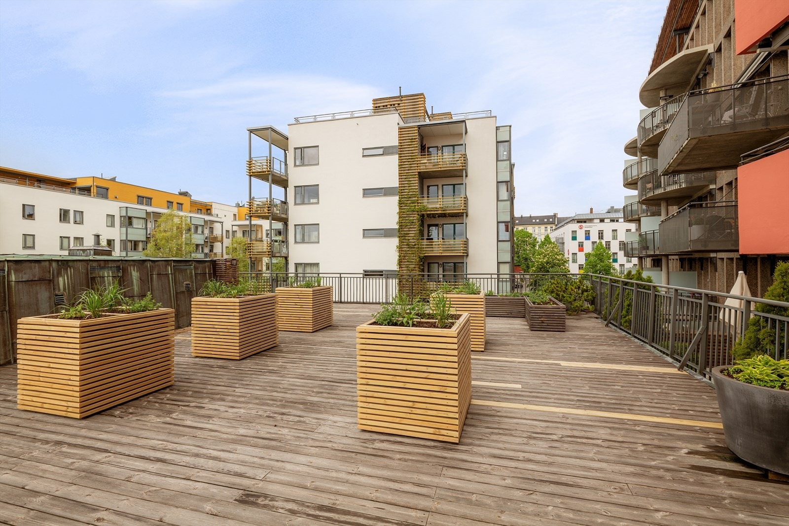 Takterrasse Galleribilde