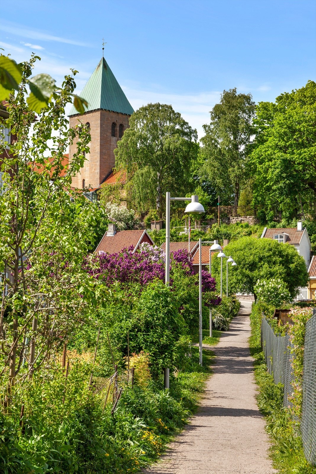 Flotte turmuligheter langs idylliske Akerselva, med stier som leder videre opp mot vakre Maridalen Galleribilde