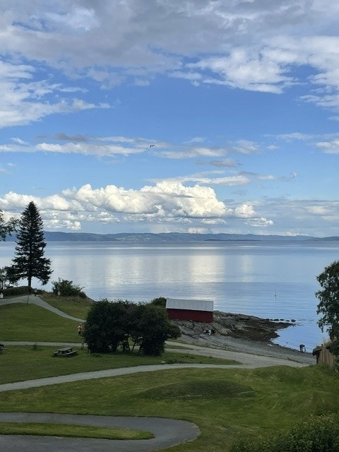 Ringvebukta Galleribilde