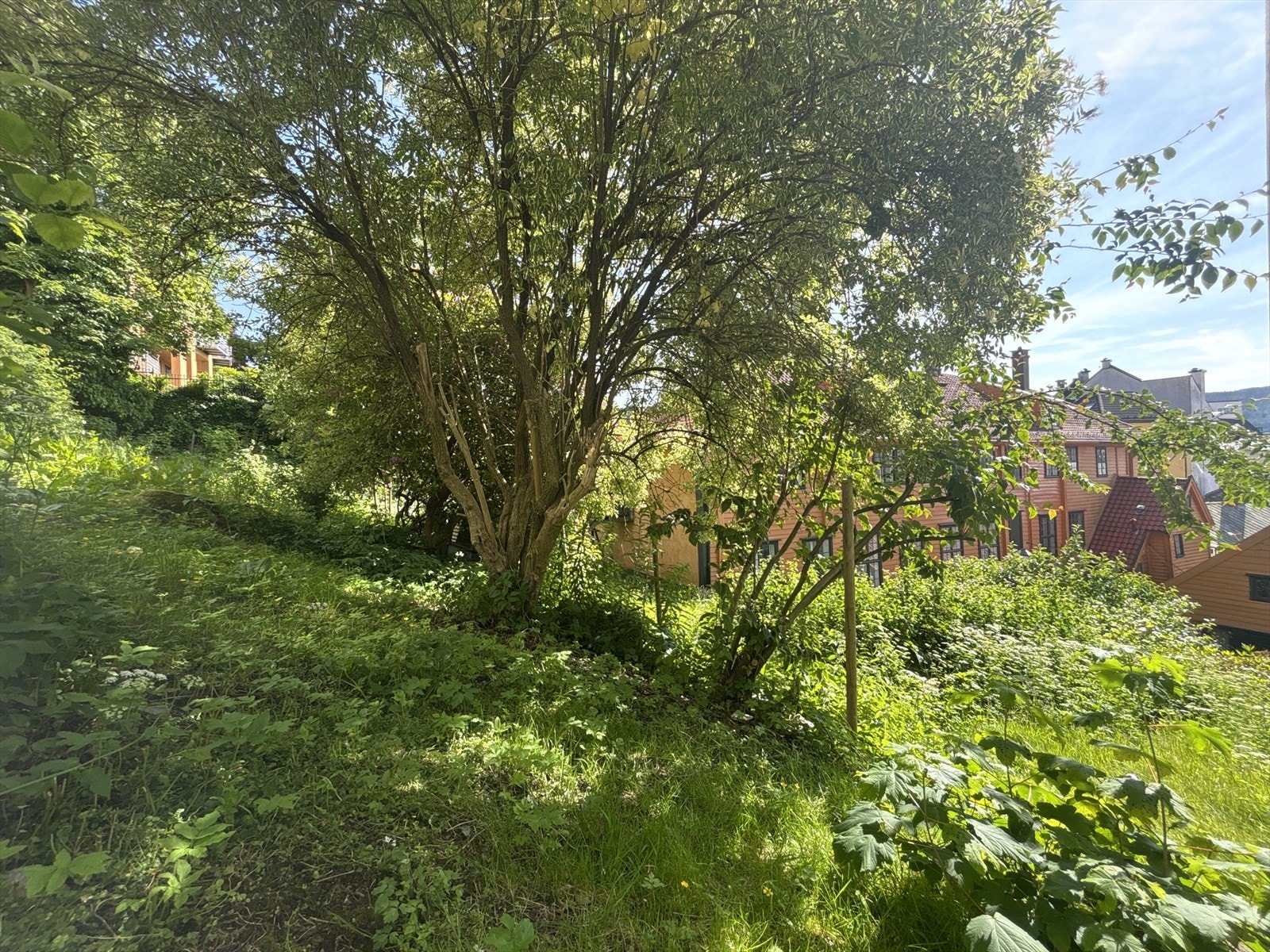Hagen er skjermet og det hender at folk benytter seg av den skjulte perlen med pledd og piknikkurv på varme sommerdager. Galleribilde