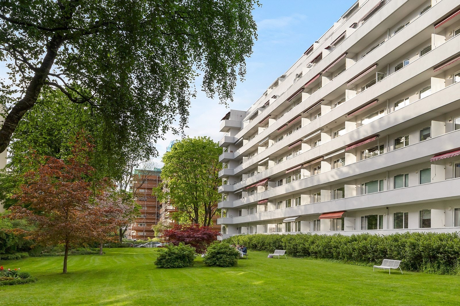Populært og veldrevet sameie med usedvanlig god vedlikeholdshistorikk og et godt bomiljø. Galleribilde