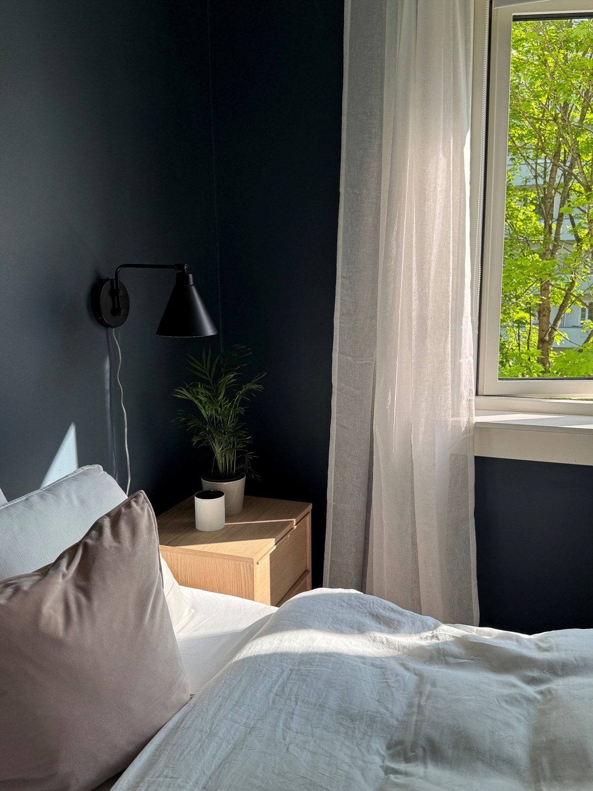Selgers eget bilde - herlig morgenlys. Galleribilde