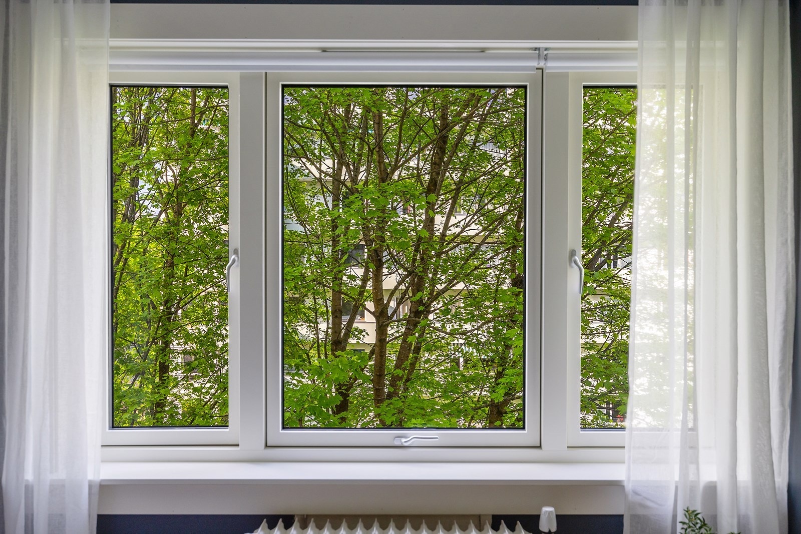 Fra vinduene er det grønt og skjermet utsyn mot trær, med behagelig morgensol gjennom sommerhalvåret. Galleribilde