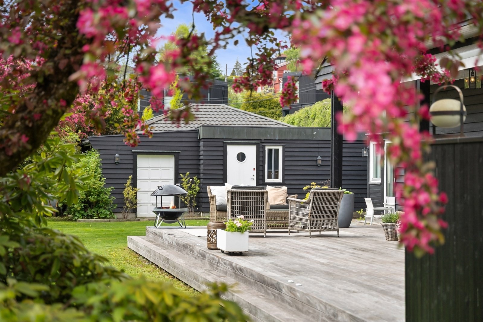 Et glimt av uteområdet gjennom de blomstrende trærne. Galleribilde