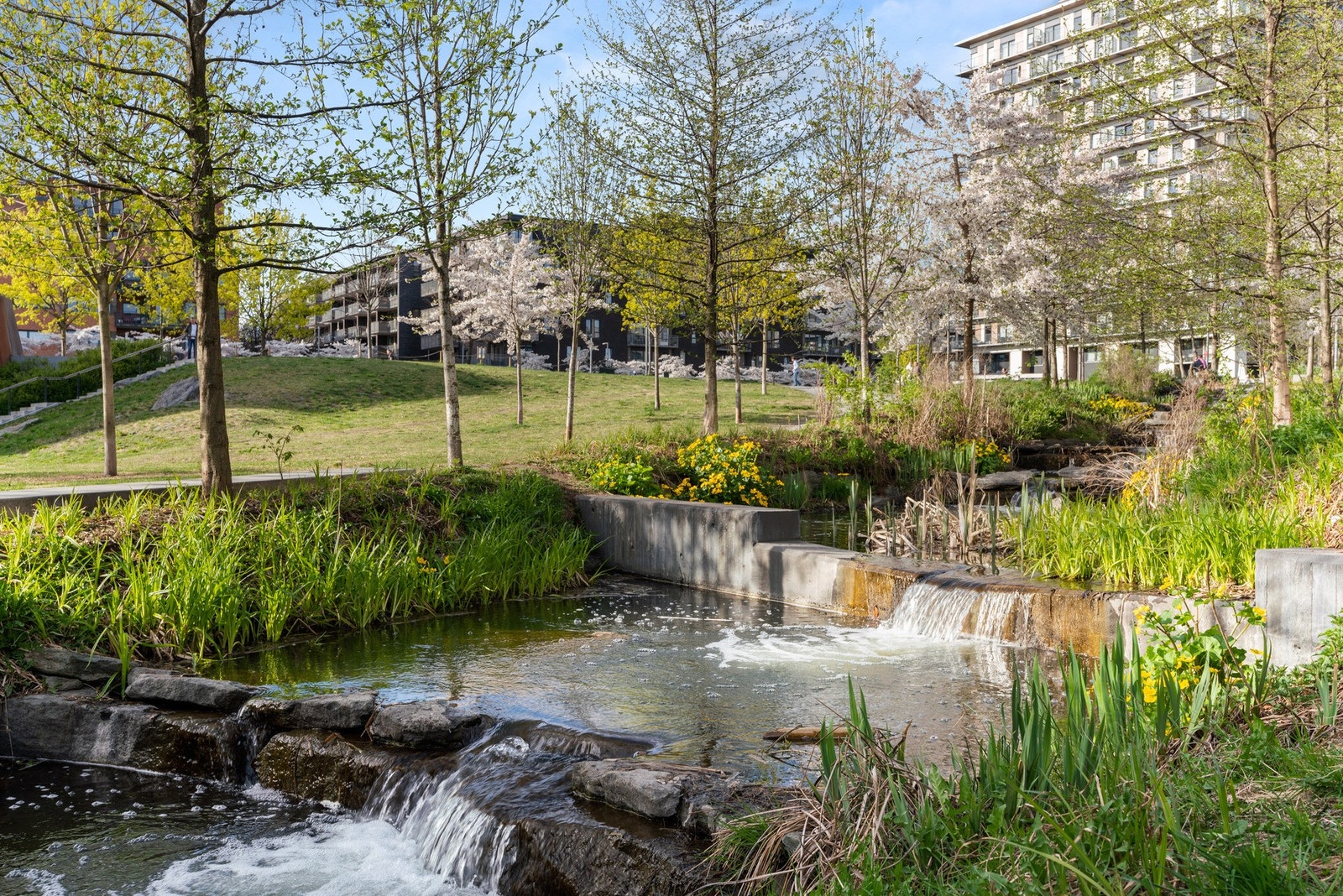 Hovinbekken renner gjennom populære Tiedemannsparken. Galleribilde