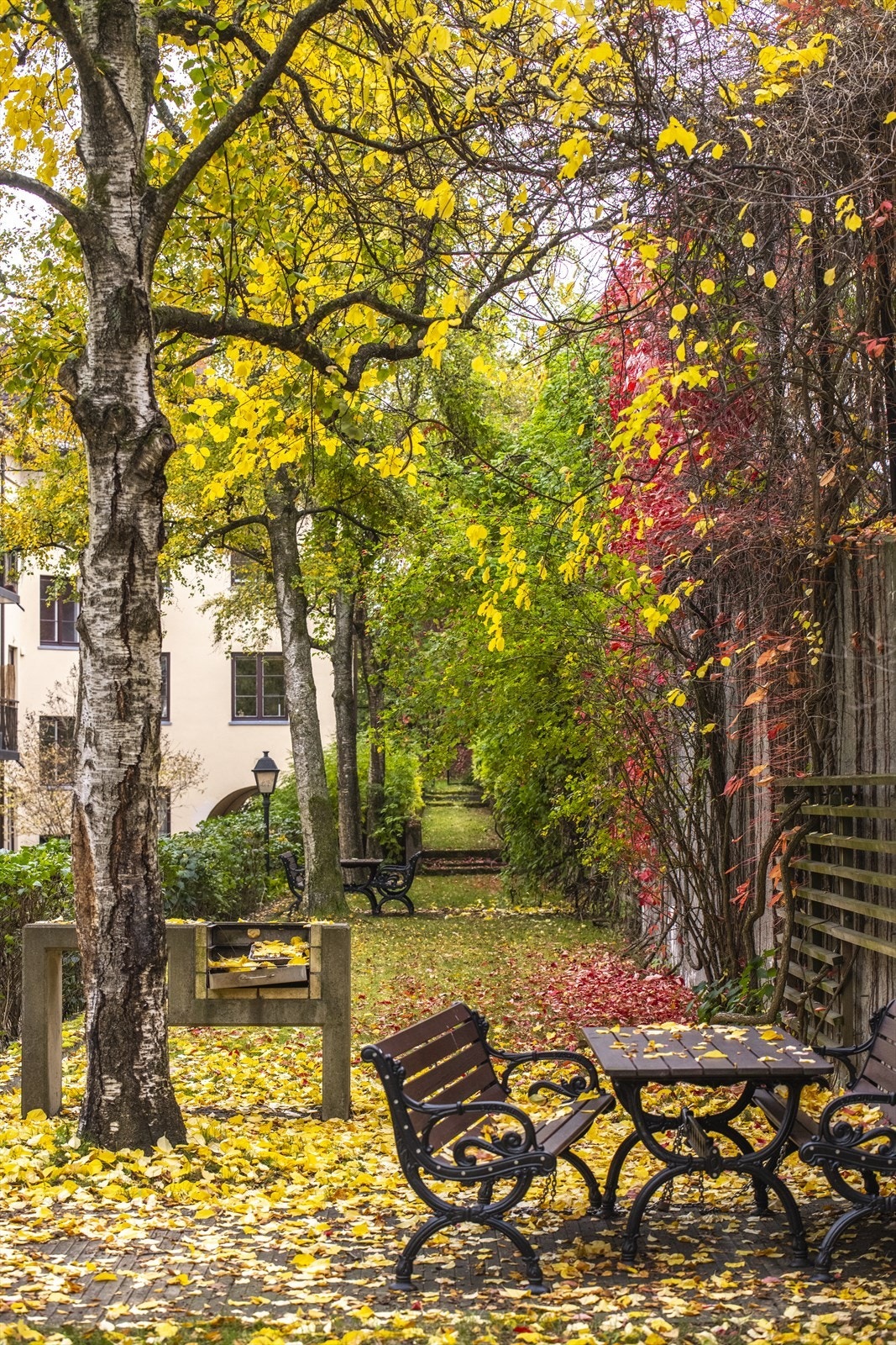Et idyllisk sted hvor man kan nyte herlige omgivelser. Galleribilde