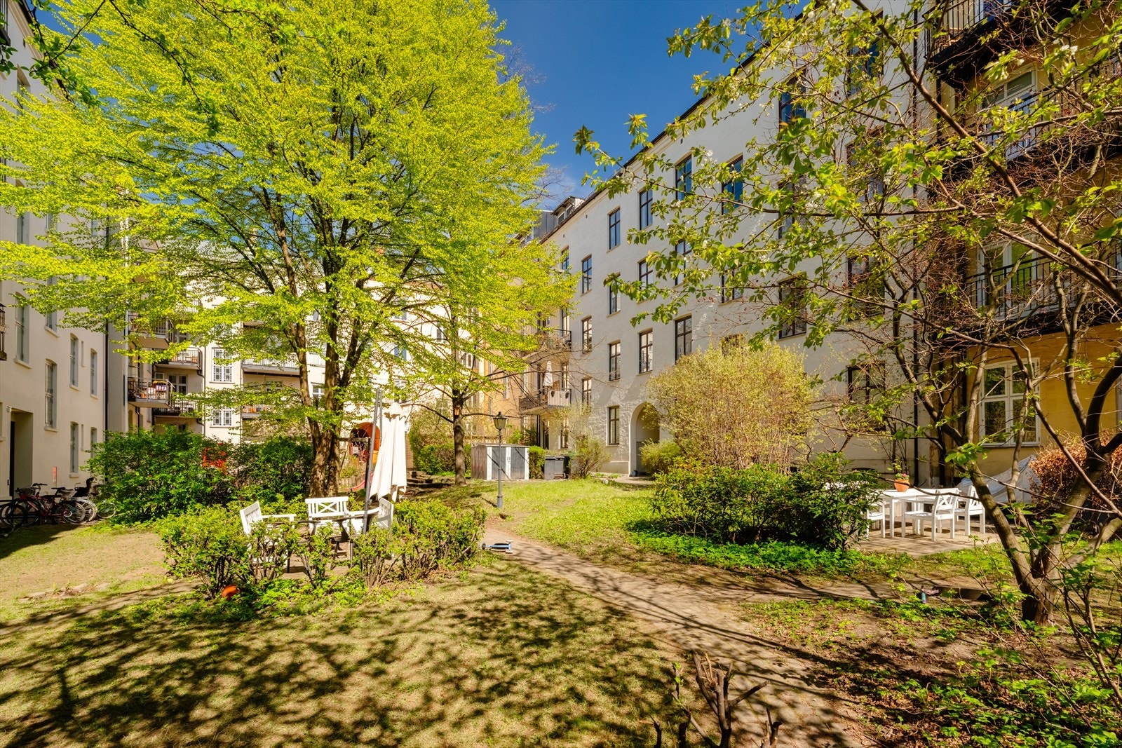 Stor, frodig bakgård med plen og beplantning. Galleribilde