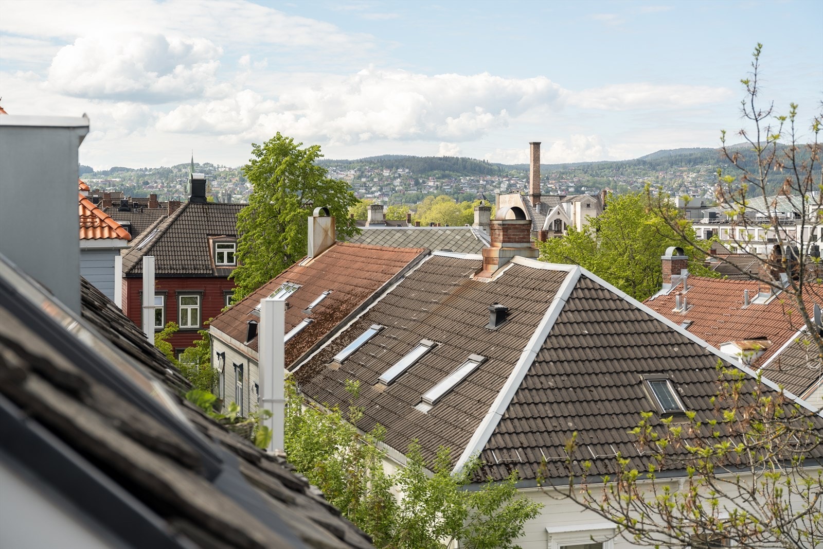 Fra leiligheten er det en fantastisk utsikt mot Byåsen. Galleribilde